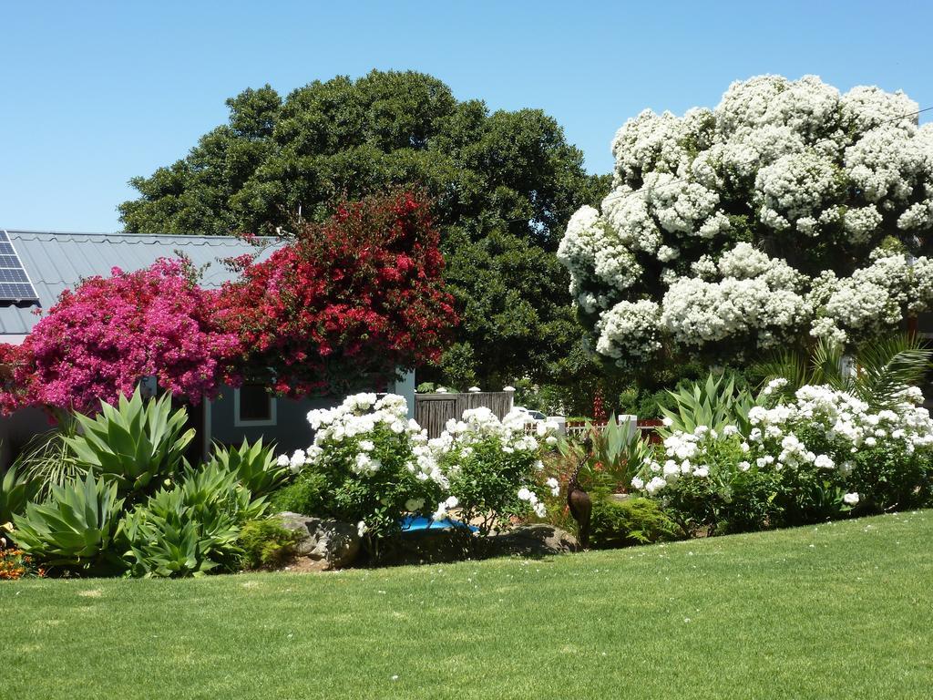 Marula Lodge Swellendam Exterior photo