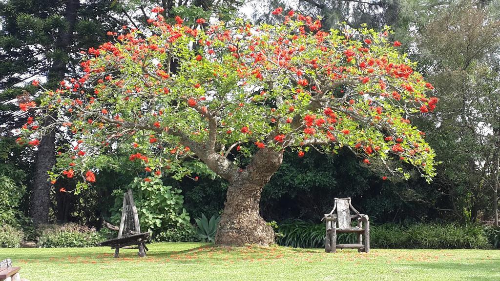 Marula Lodge Swellendam Exterior photo