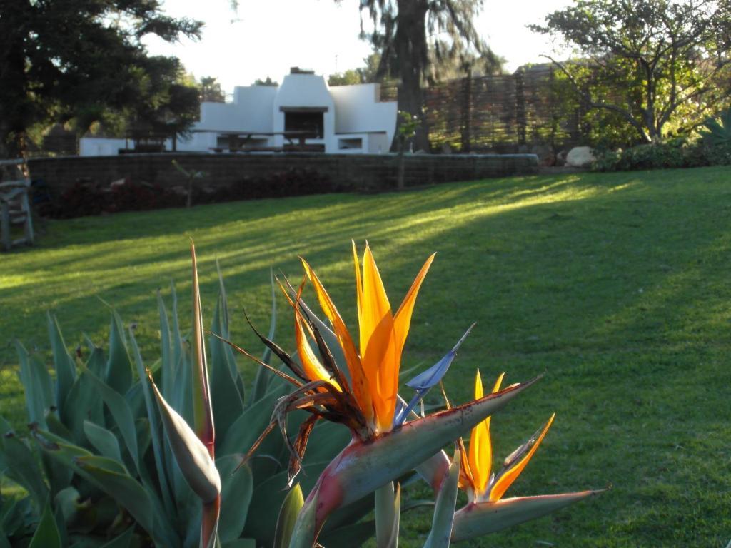 Marula Lodge Swellendam Exterior photo