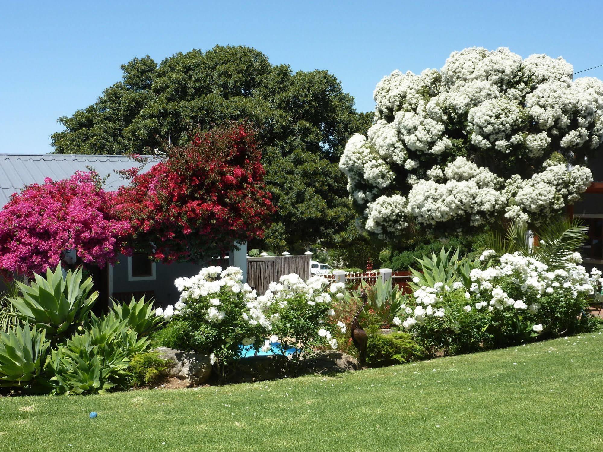 Marula Lodge Swellendam Exterior photo