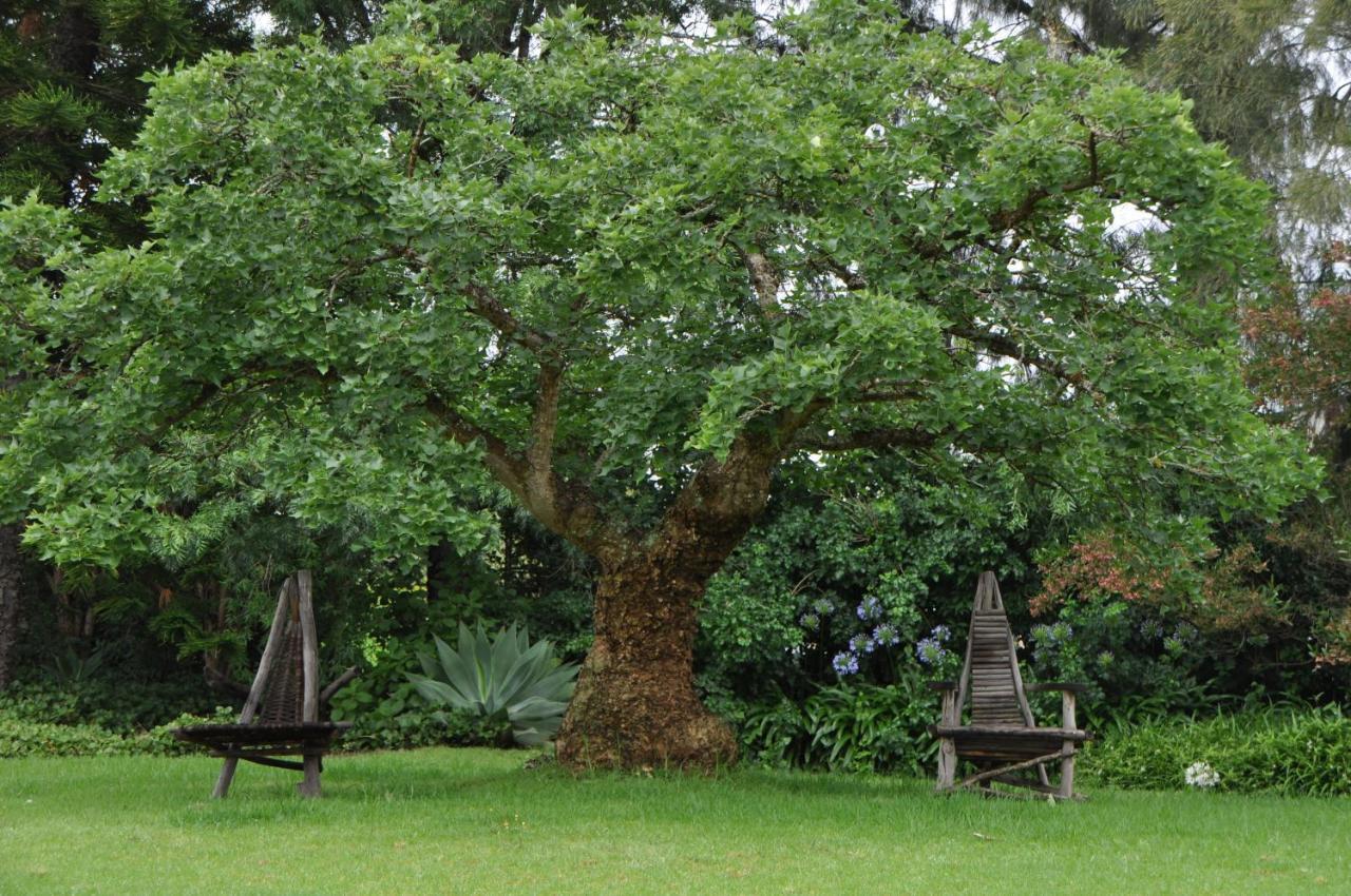 Marula Lodge Swellendam Exterior photo